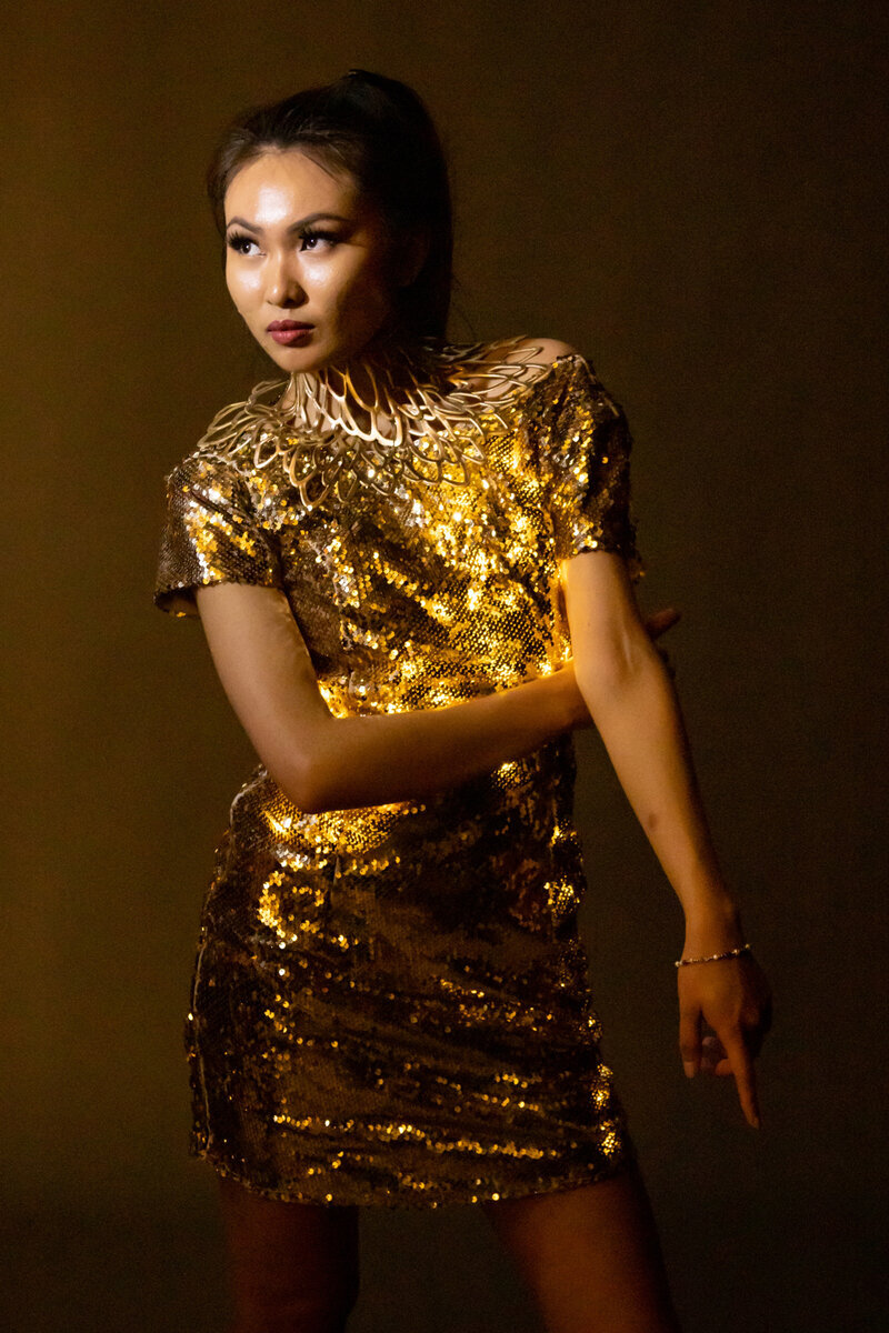 LED Sequin Dress collection
